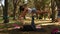 JUPITER, FLORIDA. USA - JUNE 17, 2017. Young women doing acro yoga & slackline on a public park in Florida