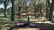 JUPITER, FLORIDA. USA - JUNE 17, 2017. Young women doing acro yoga & slackline on a public park in Florida