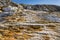 Jupiter Terrace at Mammoth Hot Springs Yellowstone National Park Wyoming USA