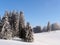 Jura Mountain in Winter, mont d or area