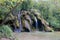 Jura Tufs waterfall, with its spectacle limestone sculptures