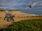 Jurassic Algarve - Dinos in our world