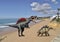 Jurassic Algarve - Dinos in our world