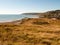 jurassic coast Charmouth dorset cliffs rocks landscape nature to