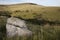 Jurassic Coast, Isle of Purbeck near Swanage, Dors