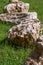 Jurassic limestone boulders on a meadow in sunlight