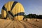 Just landed in wheat field, Provence, France