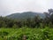 Just view gede pangrango mountain