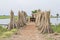 Jute dry process at rural west bengal india