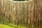 Jute fibers, fabric hanging on long bamboo poles in day light for drying on a village road side, selective focusing