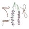 Jute rope set, tied in a ribbon, string wrapped for bunch of flowers, lavender sprigs isolated on white. Hand painted in