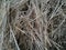 Jute Stick pile, after cleaning jute fibre the sticks are piled in