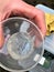 Juvenile American glass eels wriggle in glass measuring dish above digital scale