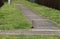 A juvenile Australian Masked Lapwing ( Vanellus miles) walks on a road