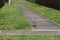 A juvenile Australian Masked Lapwing ( Vanellus miles) walks on a road