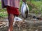 Juvenile Yellowfin tuna Thunnus albacares freshly landed by the artisanal fishermen in Mindoro, Philippines