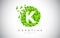 K Green Leaf Logo Design Eco Logo With Multiple Leafs Blowing in the Wind Icon Vector