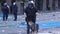 K9 officer with gas mask at riot - HD 1080p