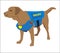 K9 police dog wearing badge. Labrador retriever Custom Drug detection dog. Cartoon Training of a police concept. Cute professional