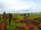 Kaas Plateau - Valley of flowers in Maharashtra, India