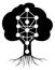 Kabbalah Tree of Life vector symbol on white