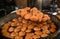 Kachori being made in sweet stall