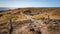 Kaena Point Landscape