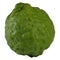 Kaffir lime, Bergamot Thai herb is various properties.