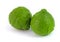 Kaffir lime isolated on white makrut lime Mauritius papeda