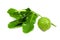 Kaffir Lime and leaves isolated with clipping path