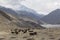 Kagbeni city in lower Mustang district, Nepal