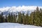 Kaiser Mountains and pine forest, Austria