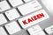 Kaizen - Japanese term meaning Kaizen - Japanese term meaning `change for the better` or `continuous improvement, text concept bu