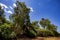 Kakadu Banks of the South Alligator River