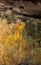 Kakadu Burrungkuy Rock Art Site