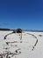 Kakapo Wreak Noordhoek Beach Western Cape