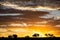 Kalahari landscape taken in the Kgalagadi Transfrontier Park