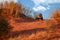 Kalahari lion, Panthera leo vernayi, laing on red dune against blue sky. Big lion male with black mane in typical environment of