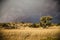 Kalahari storm approaching the Kgalagadi Transfrontier Park