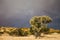 Kalahari storm approaching the Kgalagadi Transfrontier Park