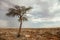 Kalahari storm approaching the Kgalagadi Transfrontier Park