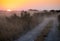 Kalahari Sunrise