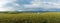 Kalajun grassland in summer