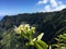 Kalalau Lookout in Waimea Canyon on Kauai Island, Hawaii.