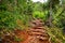 Kalalau trail in Kauai, Hawaii