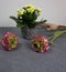Kalanchoe calandiva with beautiful ranunculus flowers with driftwood at grey background
