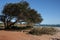 Kalbarri Beach