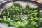 Kale cabbage cooking in boiling water in a saucepan