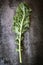 Kale Leaf on Slate Overhead View