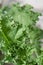 Kale leaves on nature light background